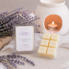 Return Within | Lavender Driftwood Wax Melt